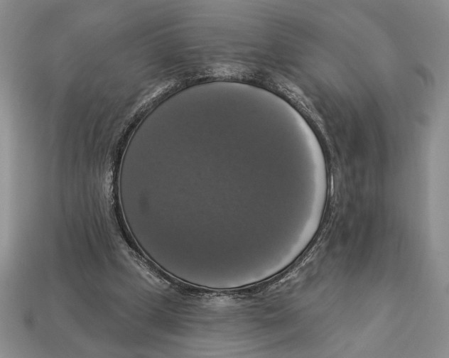 X0000112910249200909211037