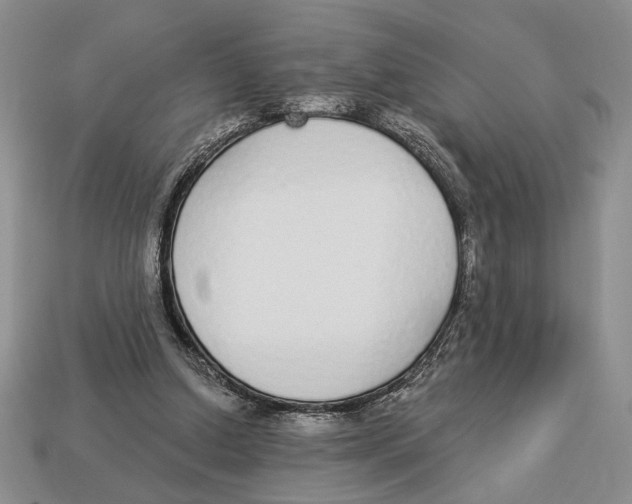 X0000112910250200909211037
