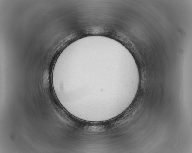 X0000112910251200909211037