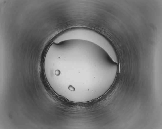 X0000112910252200909211037