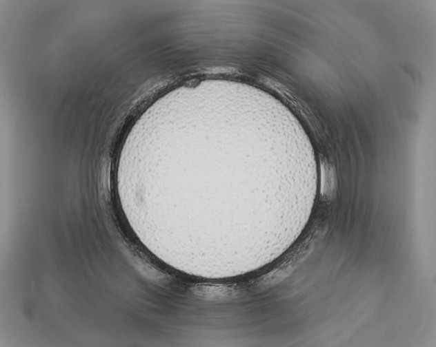 X0000112910253200909211037