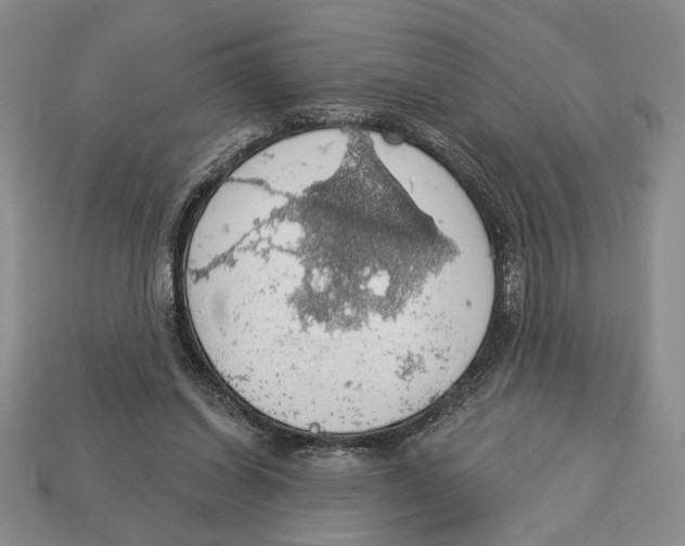 X0000112910254200909211037
