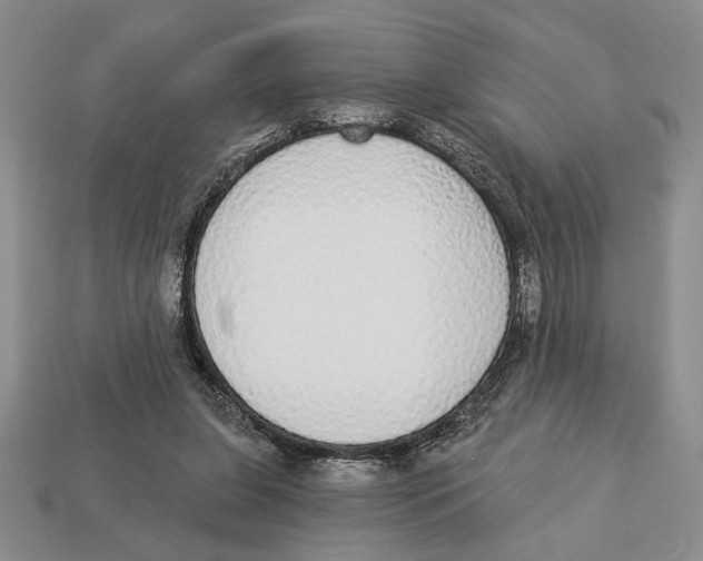 X0000112910255200909211038