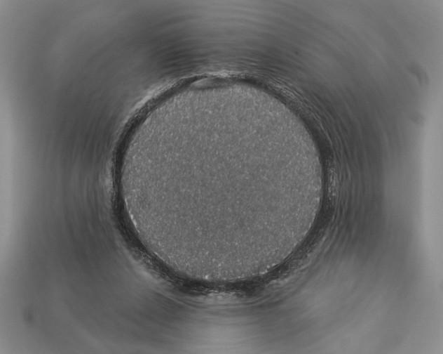 X0000112910256200909211038