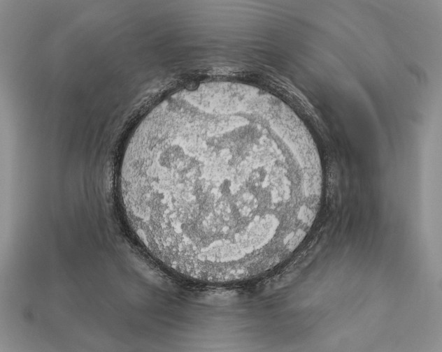 X0000112910257200909211038