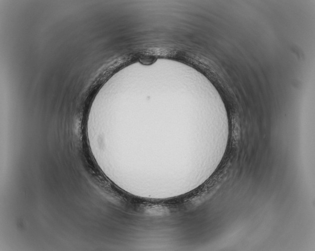 X0000112910258200909211038