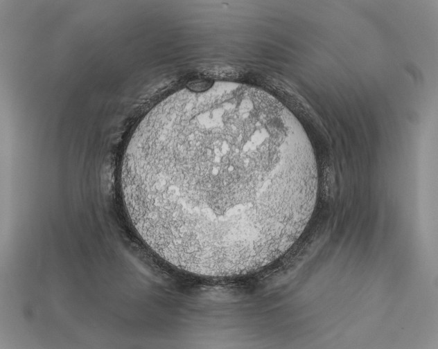X0000112910259200909211038