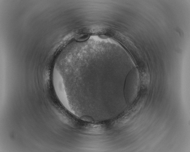 X0000112910260200909211038