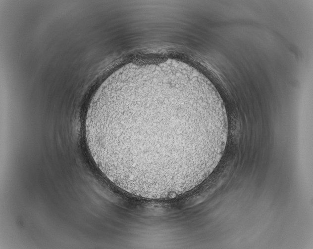 X0000112910261200909211038