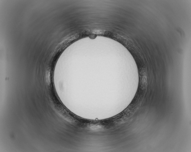 X0000112910262200909211038