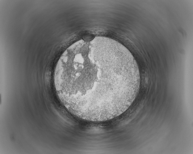 X0000112910263200909211038