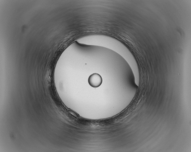 X0000112910264200909211038
