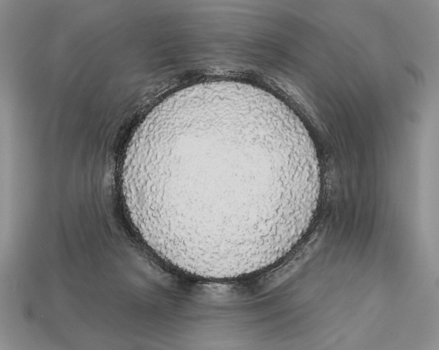 X0000112910265200909211038