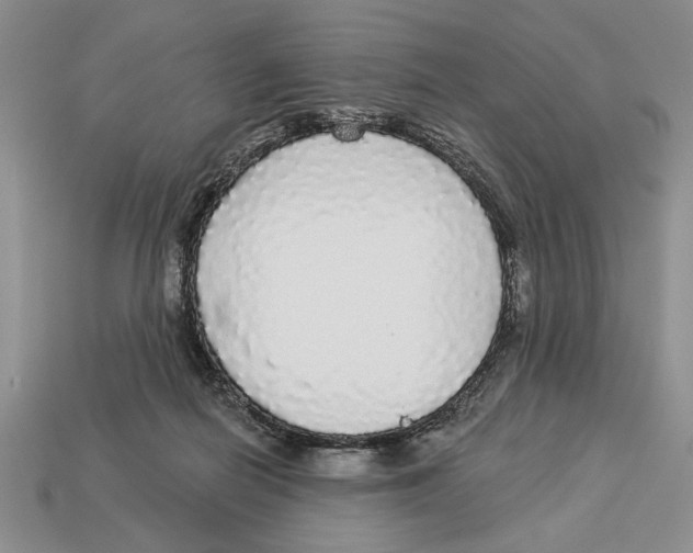 X0000112910266200909211038