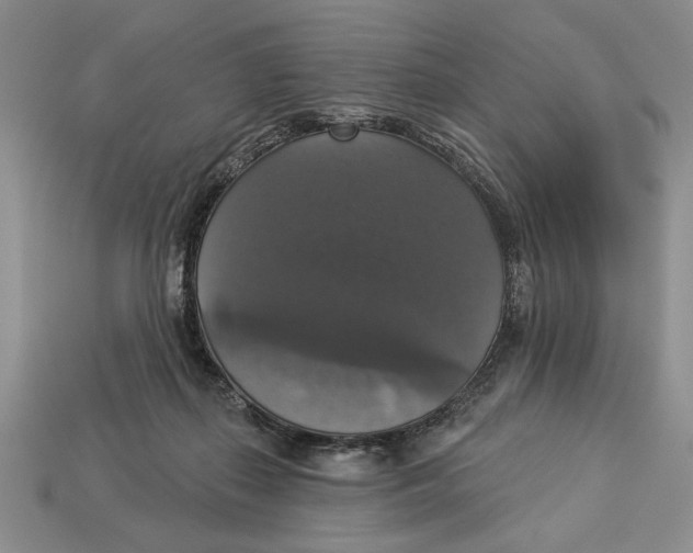 X0000112910267200909211038