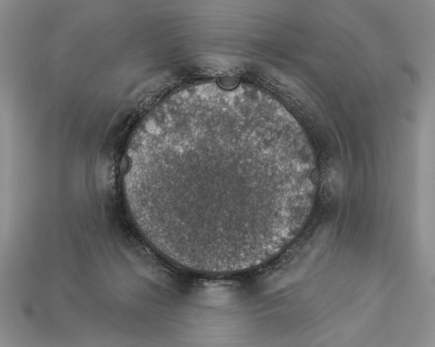 X0000112910268200909211038