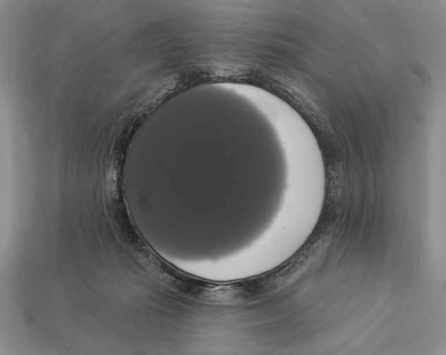 X0000112910269200909211038