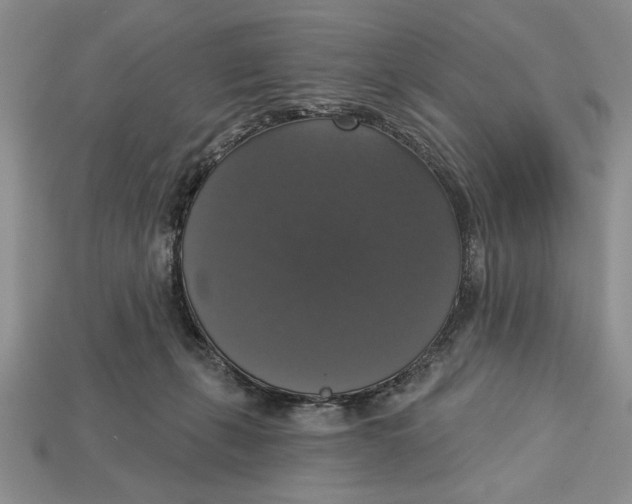 X0000112910271200909211038