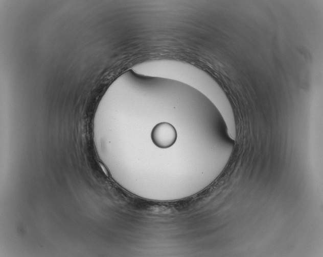 X0000112910272200909211038