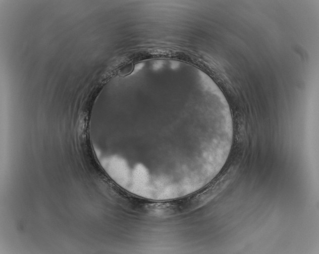 X0000112910273200909211038