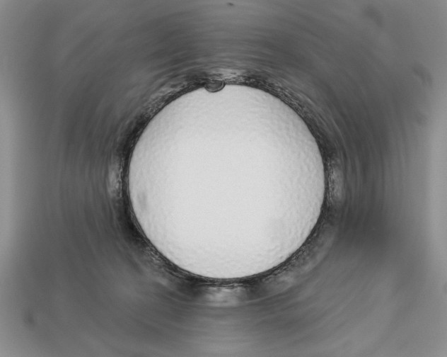 X0000112910274200909211038
