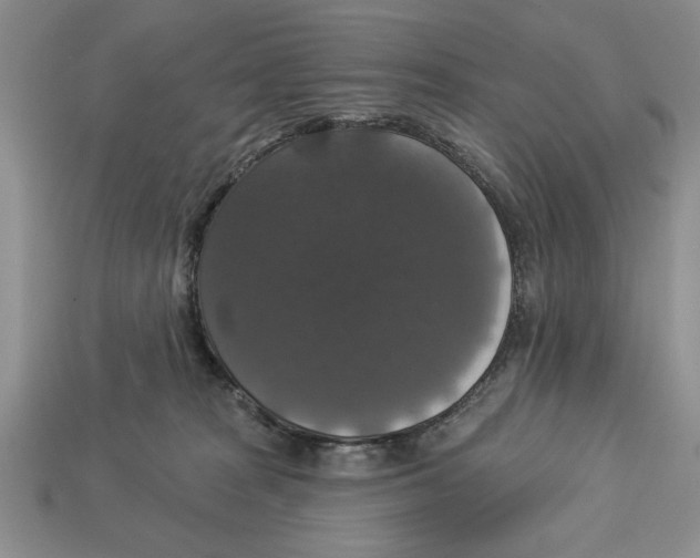 X0000112910277200909211038