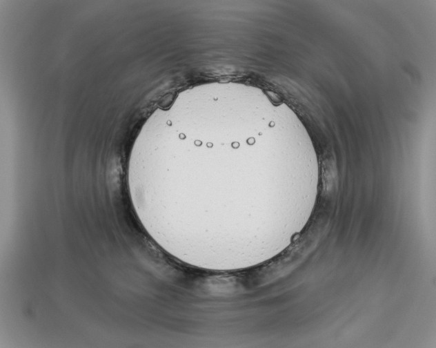 X0000112910279200909211038
