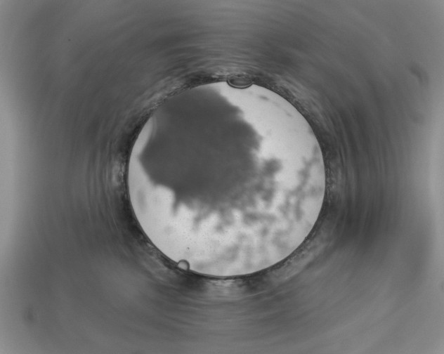 X0000112910281200909211038