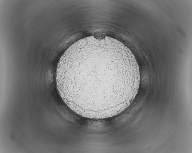 X0000112910282200909211038