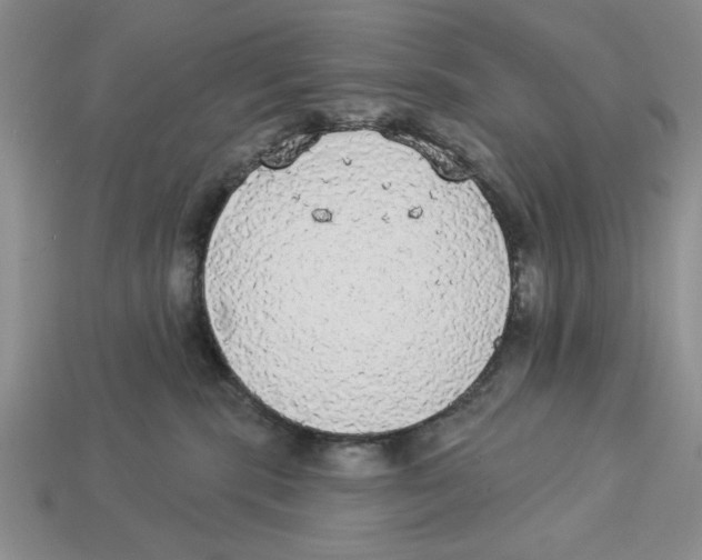 X0000112910283200909211038