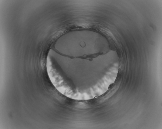 X0000112910285200909211038