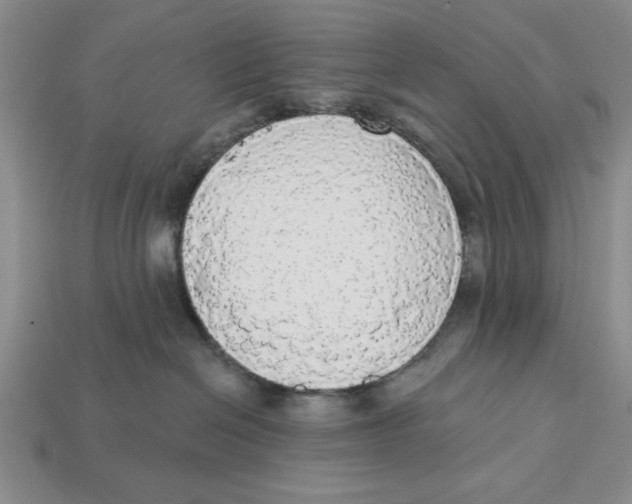 X0000112910286200909211038