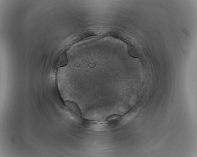 X0000112910288200909211038