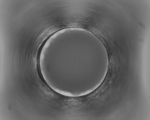 X0000112910290200909211037
