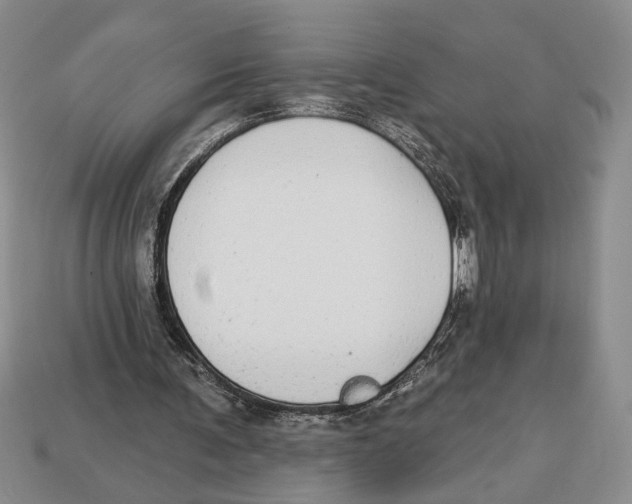 X0000112910291200909211037