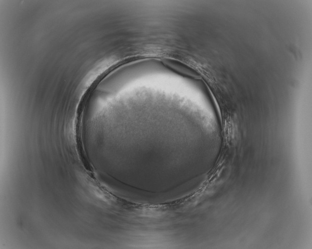 X0000112910292200909211037