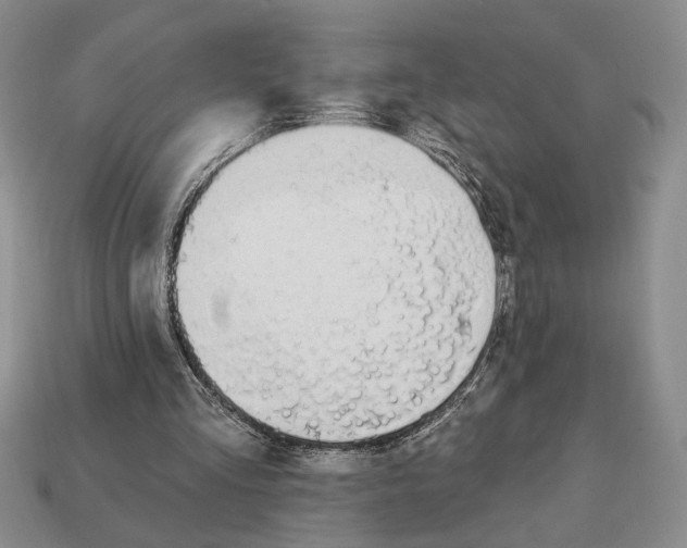 X0000112910293200909211037