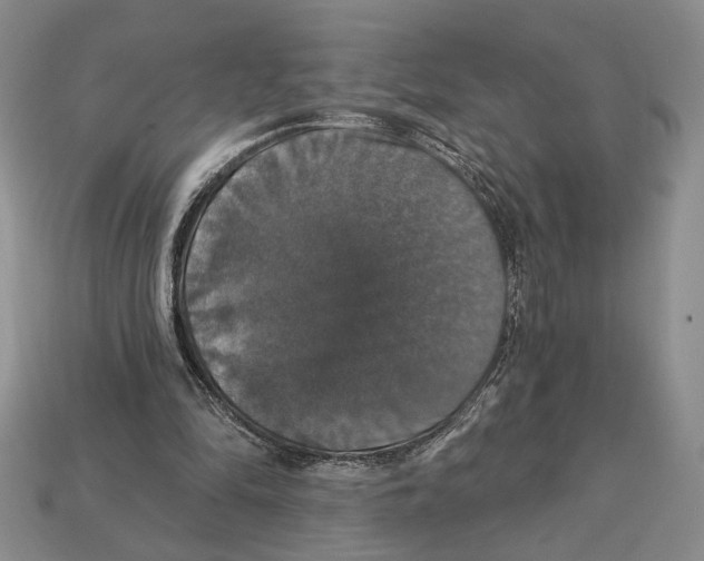 X0000112910294200909211037