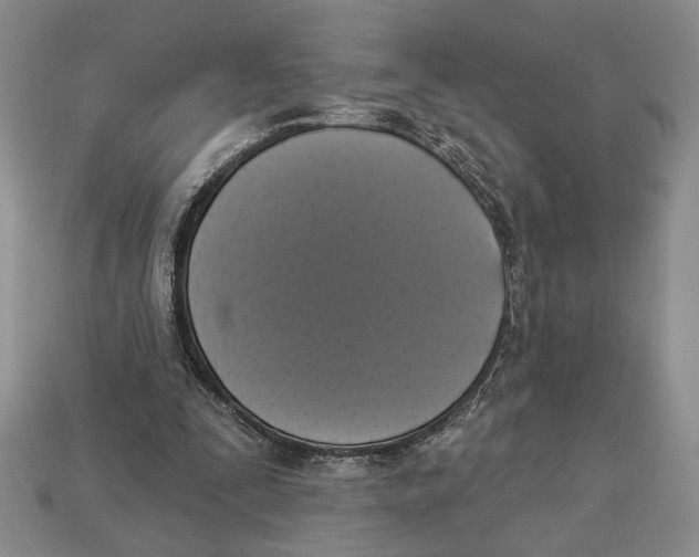 X0000112910295200909211037