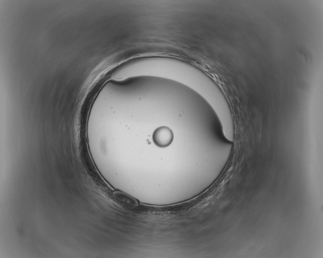 X0000112910296200909211037