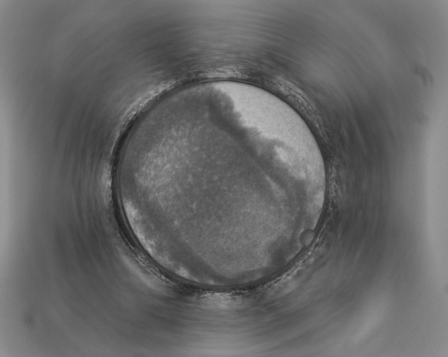 X0000112910298200909211037