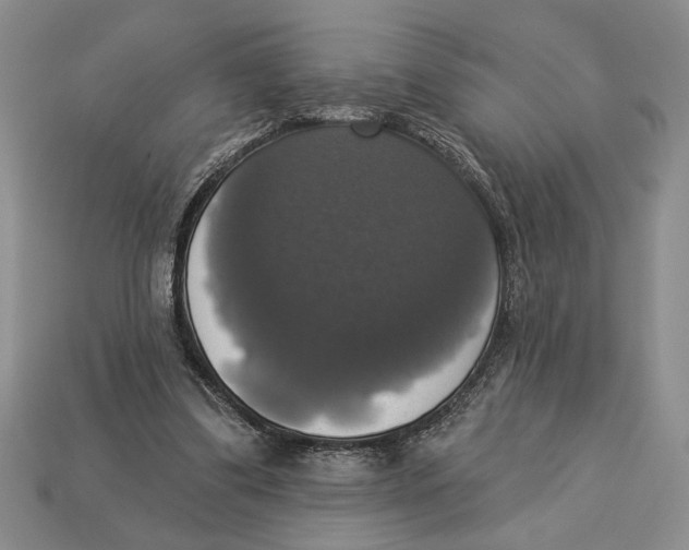X0000112910299200909211037