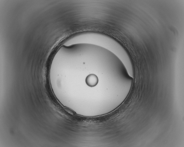 X0000112910300200909211037