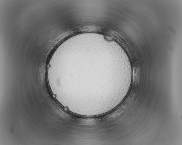 X0000112910301200909211037
