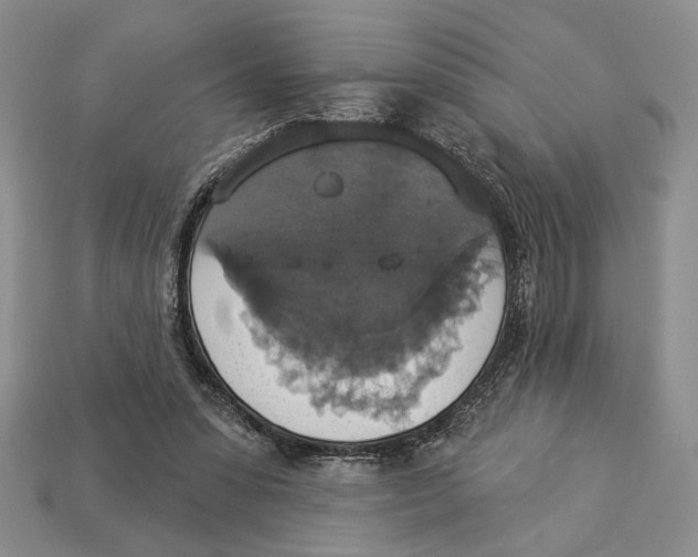 X0000112910303200909211037