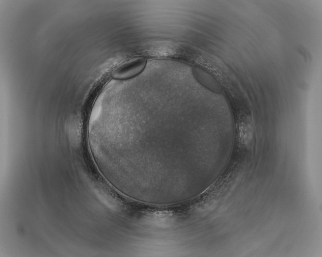 X0000112910304200909211037