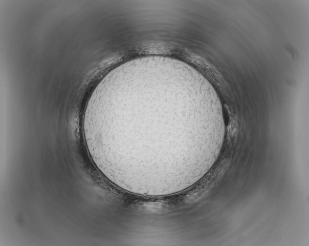 X0000112910306200909211037