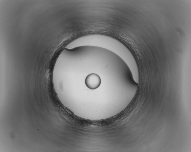 X0000112910308200909211037