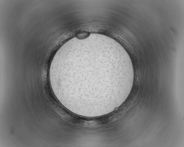 X0000112910309200909211037
