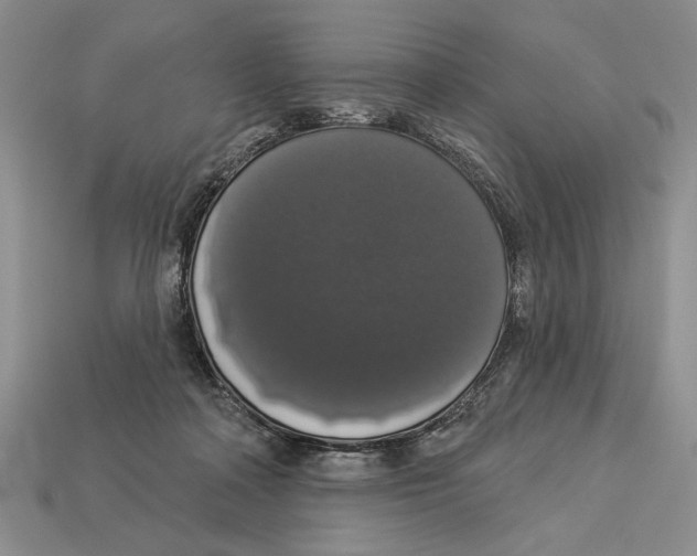 X0000112910314200909211037